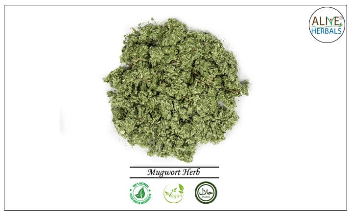Mugwort Herb - Buy from the health food store