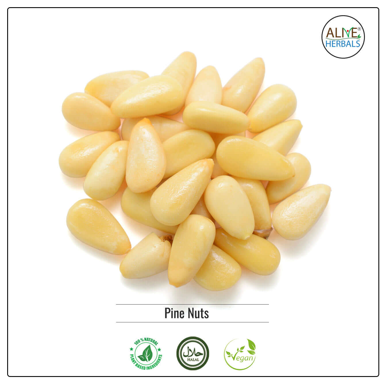 Raw Pine Nuts - Buy at Natural Food Store | Alive Herbals.