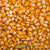 Popcorn Kernels - Shop at Natural Food Store | Alive Herbals.