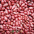 Red Skin Raw Peanuts - Buy at Natural Food Store | Alive Herbals.
