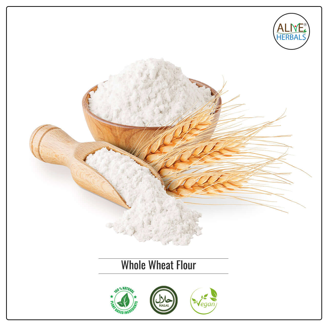 Whole Wheat Flour - Shop at Natural Food Store | Alive Herbals.