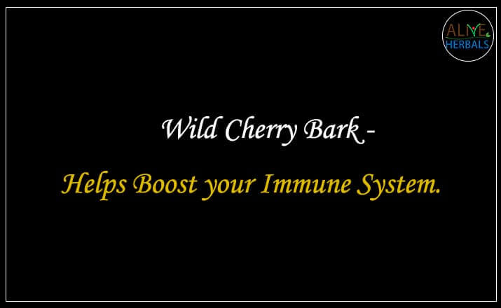 Wild Cherry Bark - Buy from the online herbal store