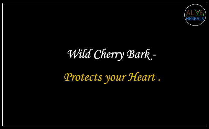 Wild Cherry Bark - Buy from the natural herb store