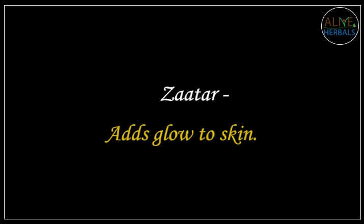 Zaatar - Buy From the Spice Shop Brooklyn