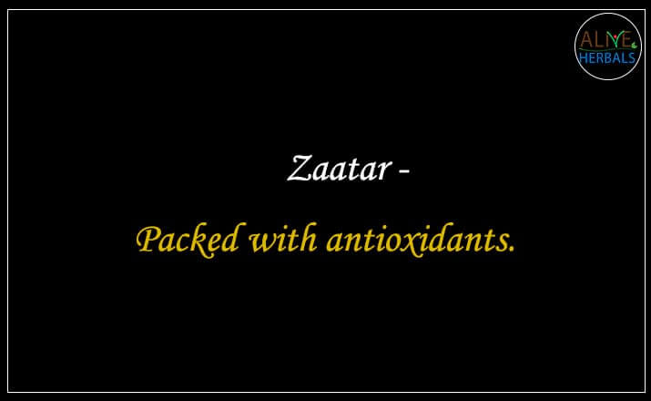 Zaatar - Buy From the Spice Store NYC